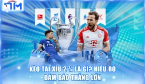 Kèo Tài Xỉu 2 3/4 Là Gì? Hiểu Rõ Đảm Bảo Thắng Lớn 2 keo tai xiu 2 ¾ la gi