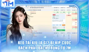 Kèo Tài Xỉu Là Gì? Bí Kíp Cược Bách Phát Bách Trúng Từ 7M 6 Kèo tài xỉu là gì
