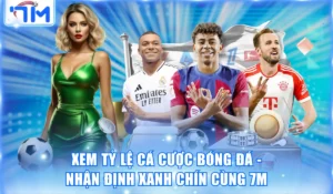 Xem tỷ lệ cá cược bóng đá