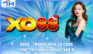 Xo88 - Thương Hiệu Cá Cược Trực Tuyến Hàng Đầu Châu Á 5 Xo88