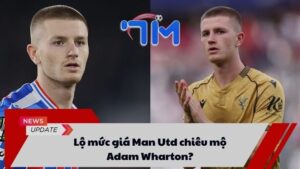 Lộ mức giá Man Utd chiêu mộ Adam Wharton? 4 Lộ mức giá Man Utd chiêu mộ Adam Wharton?