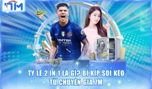 Tỷ lệ 2 in 1